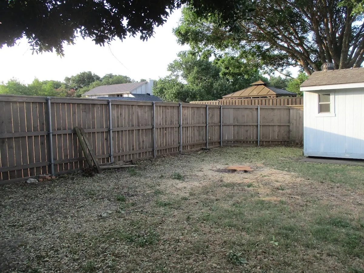 Cleared yard after professional tree removal in Worth
